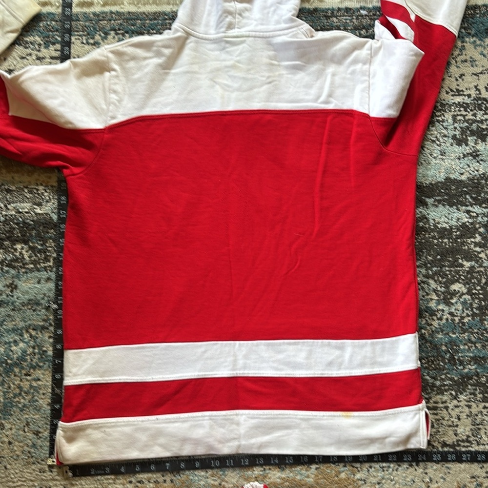 Vintage Champion Campus Heritage Mens XL Cotton Graphic Wisconsin Hockey Hoodie - Picture 6 of 7